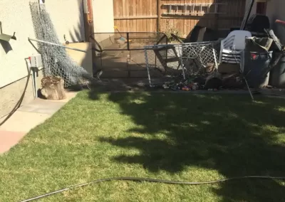 Amazing Landscaping Services