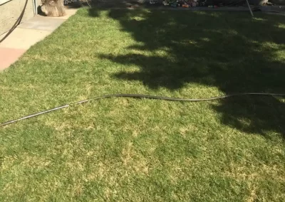 Good Landscaping Services